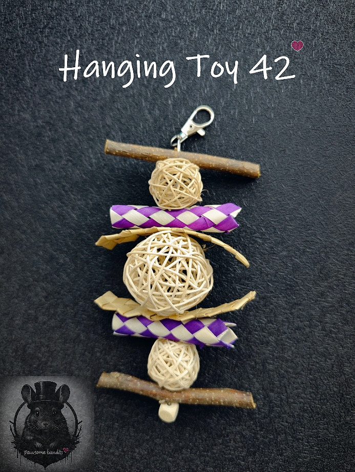 Hanging Toy 42