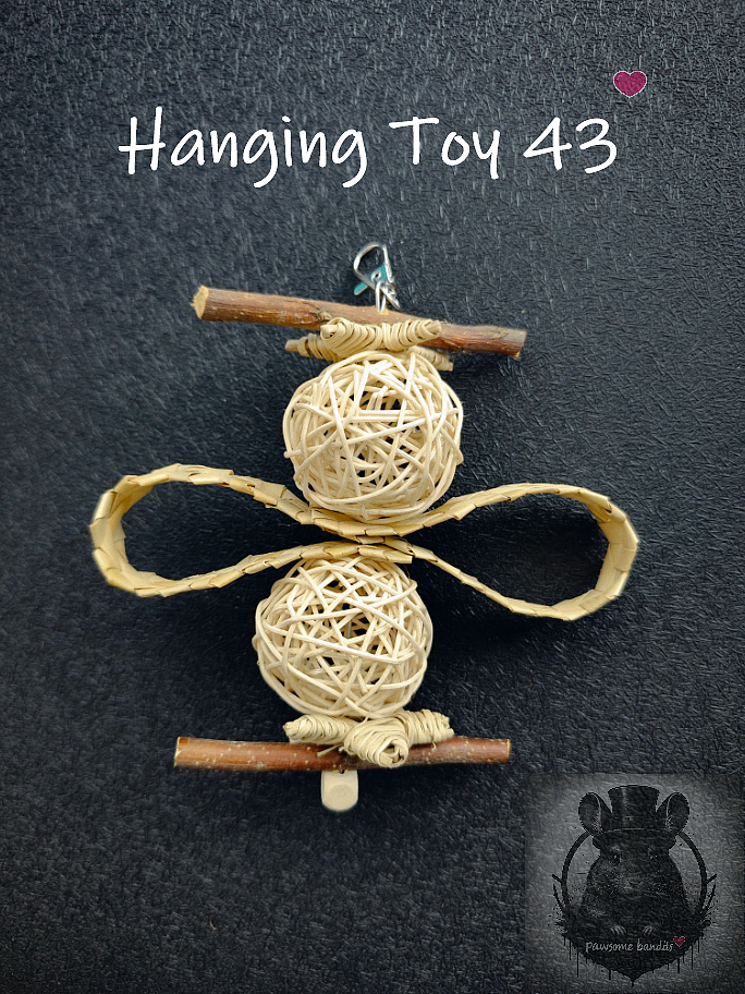 Hanging Toy 43