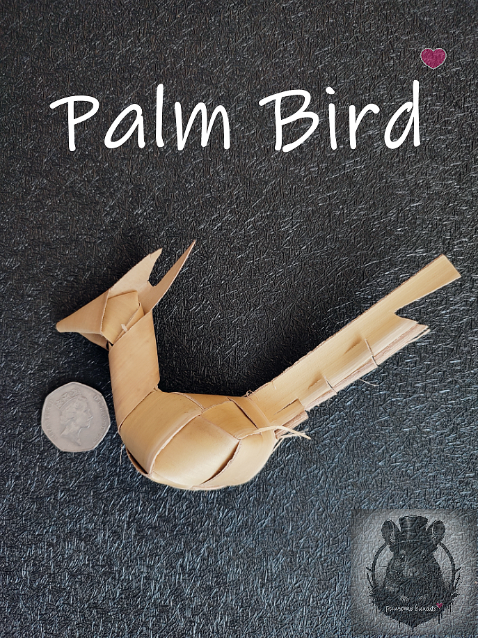Palm Bird