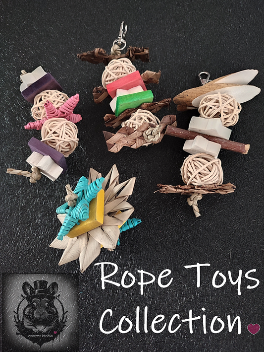 Rope Toys Collection