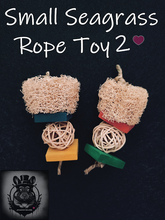 Small Seagrass Rope Toy 2