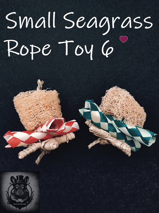 Small Seagrass Rope Toy 6