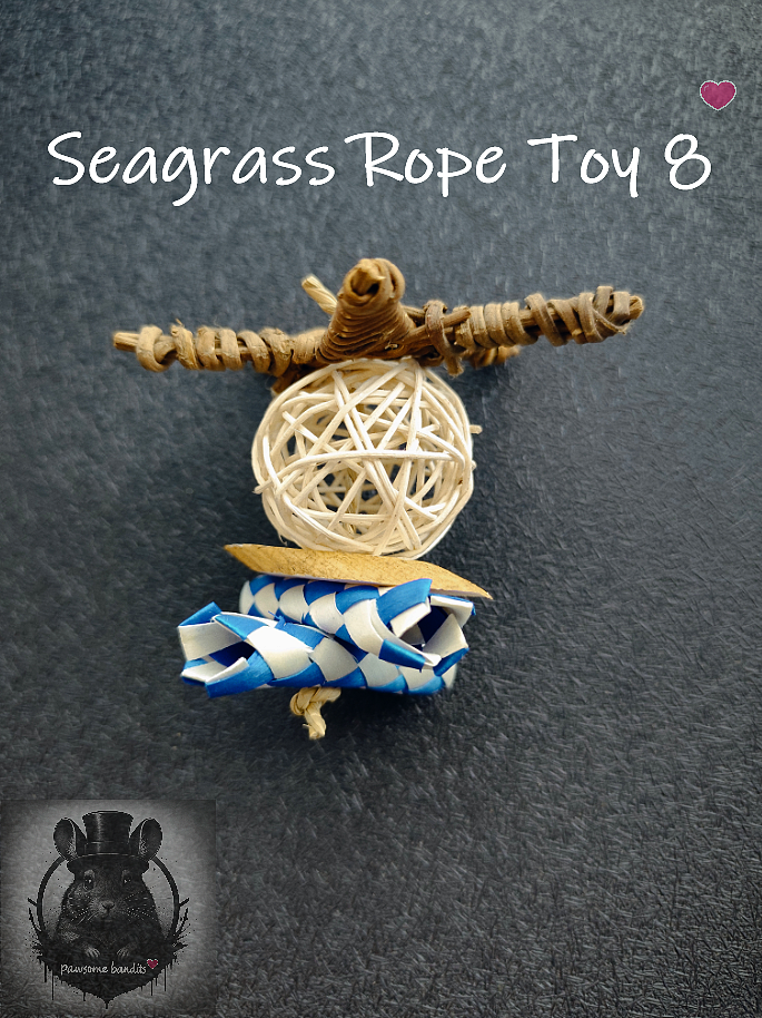 Seagrass Rope Toy 8