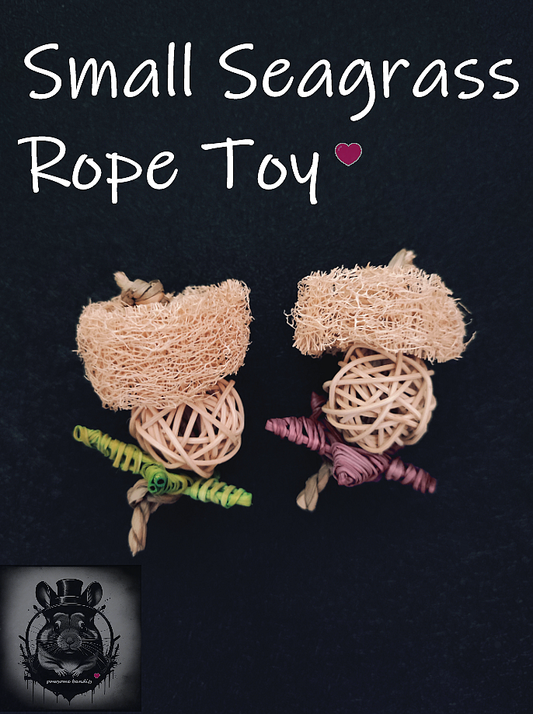 Small Seagrass Rope Toy