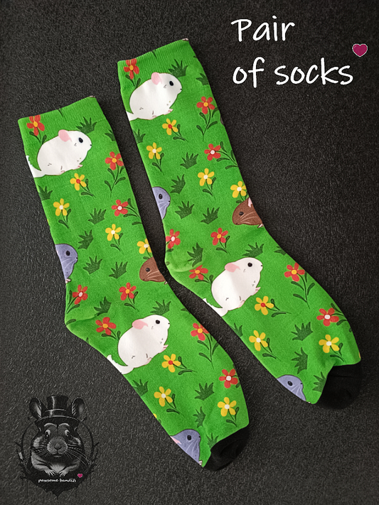 Pair of socks - Chinchillas 2