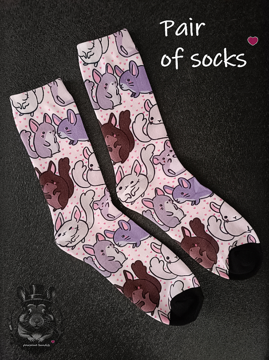 Pair of socks - Chinchillas 3