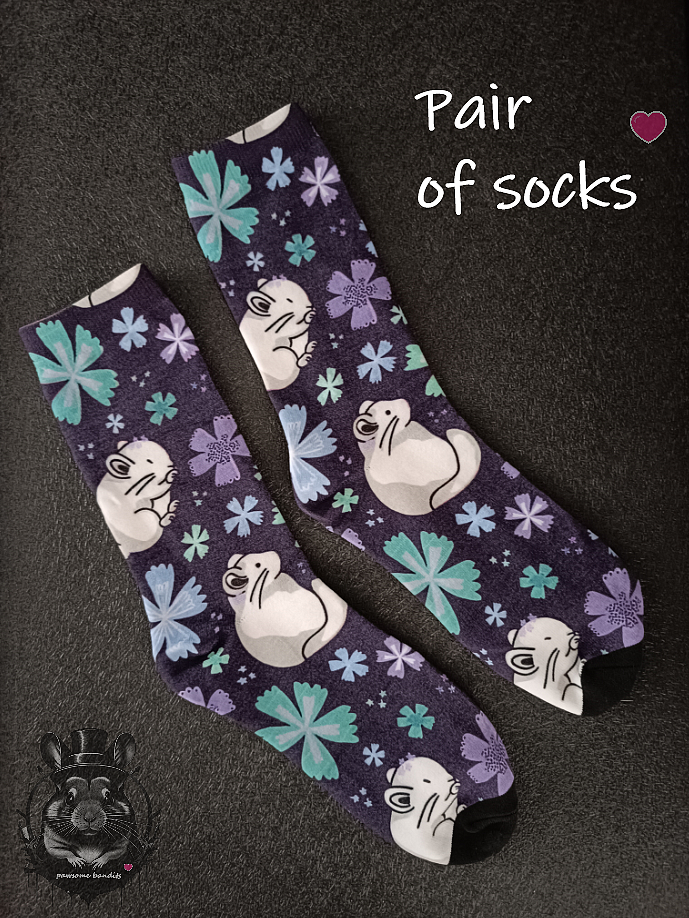 Pair of socks - Chinchillas 4