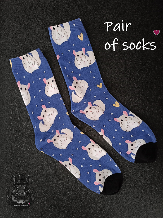 Pair of socks - Chinchillas 5