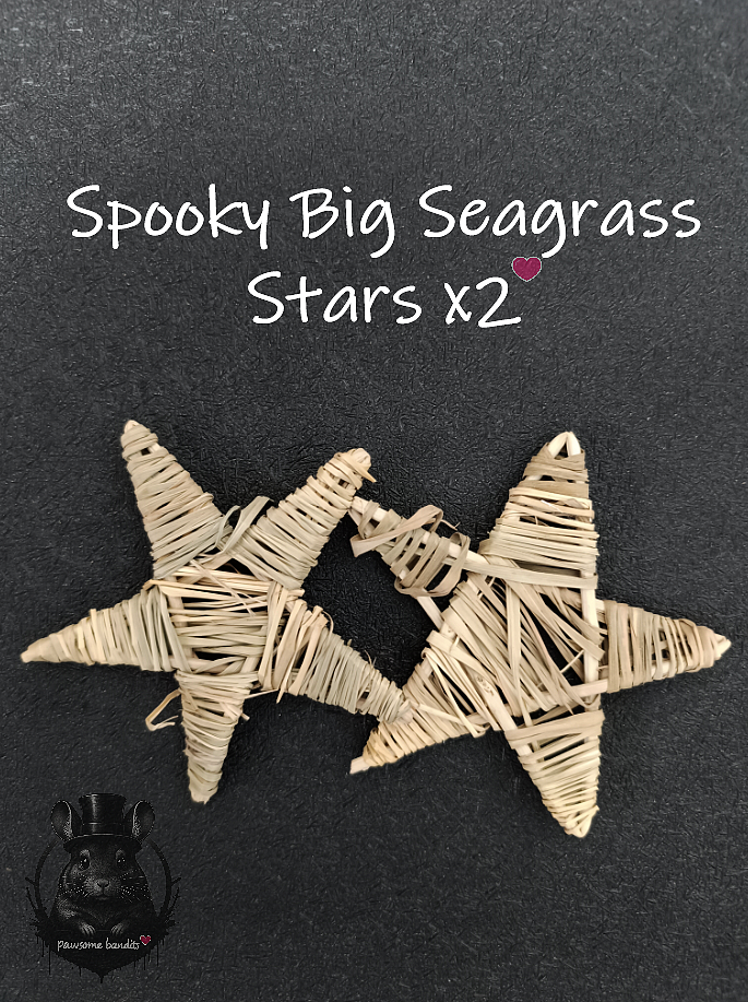 Spooky Big Seagrass Stars x2