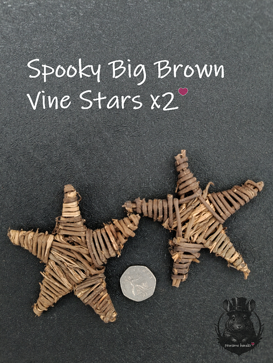 Spooky Big Brown Vine Stars x2