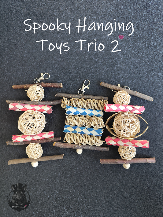 Spooky Hanging Toys Trio 2