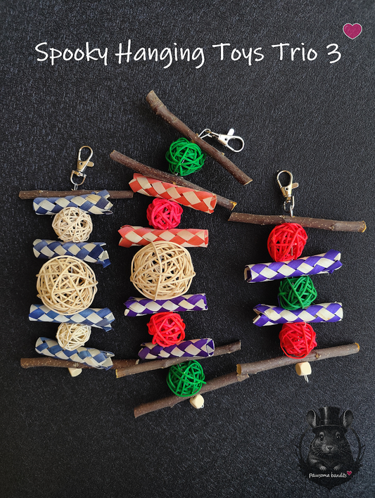 Spooky Hanging Toys Trio 3
