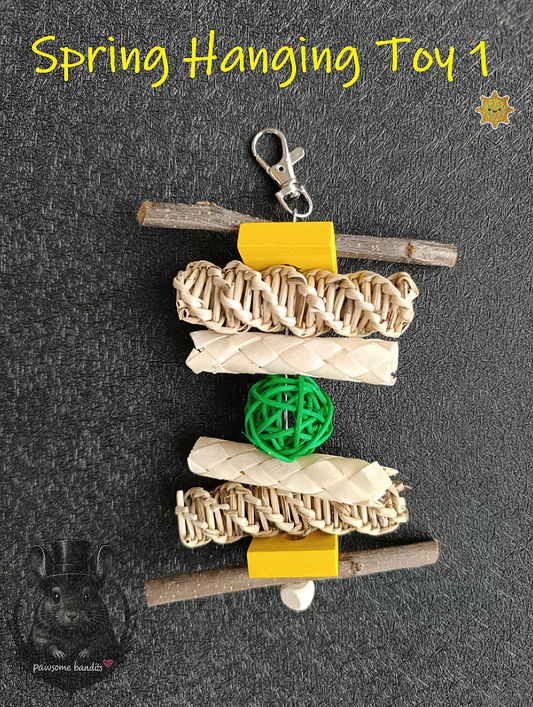 Spring Hanging Toy 1