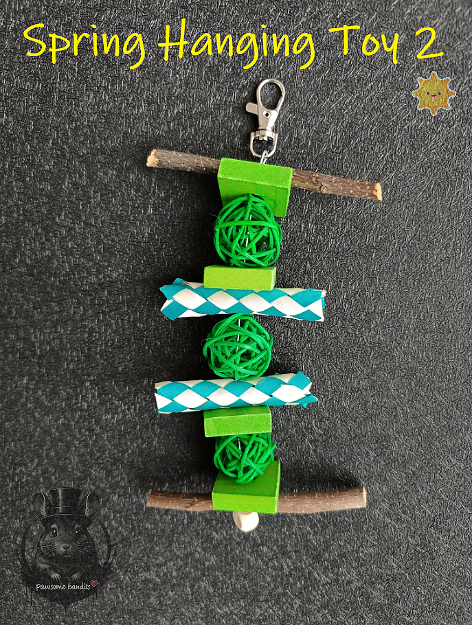 Spring Hanging Toy 2