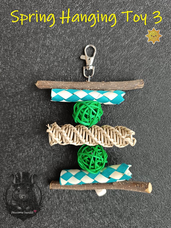 Spring Hanging Toy 3