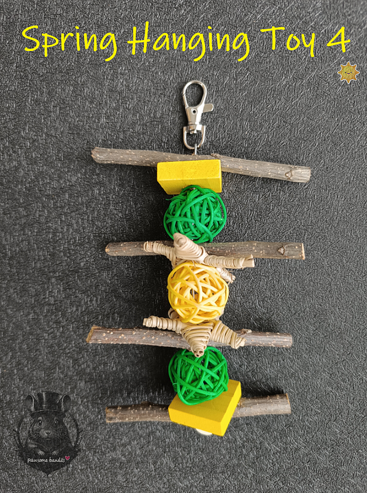 Spring Hanging Toy 4