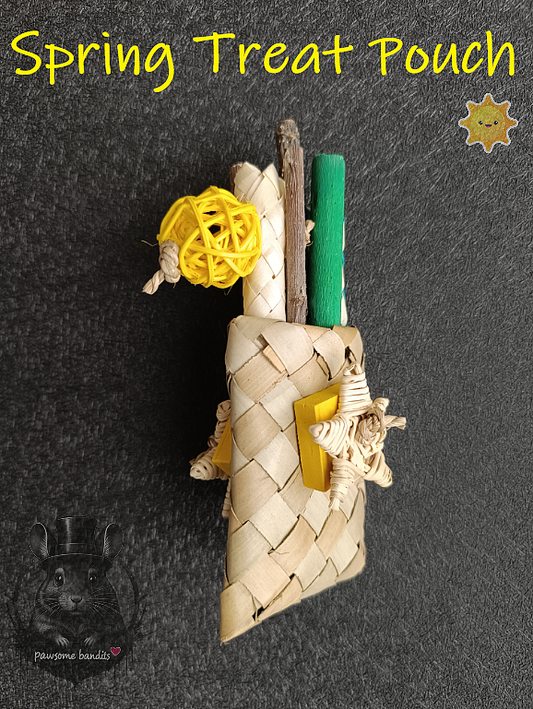 Spring Treat Pouch
