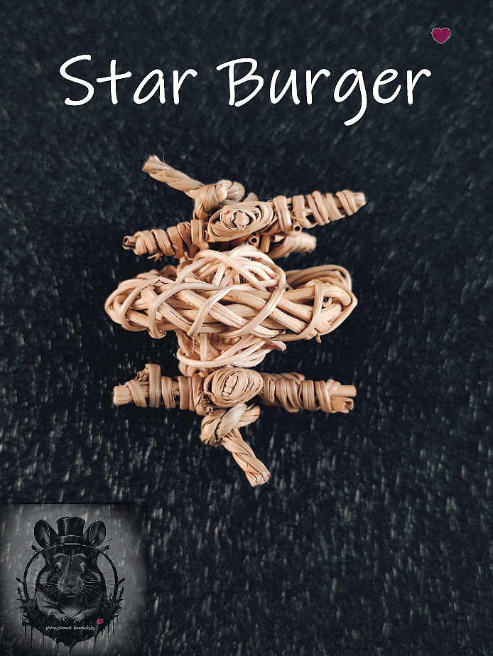 Star Burger