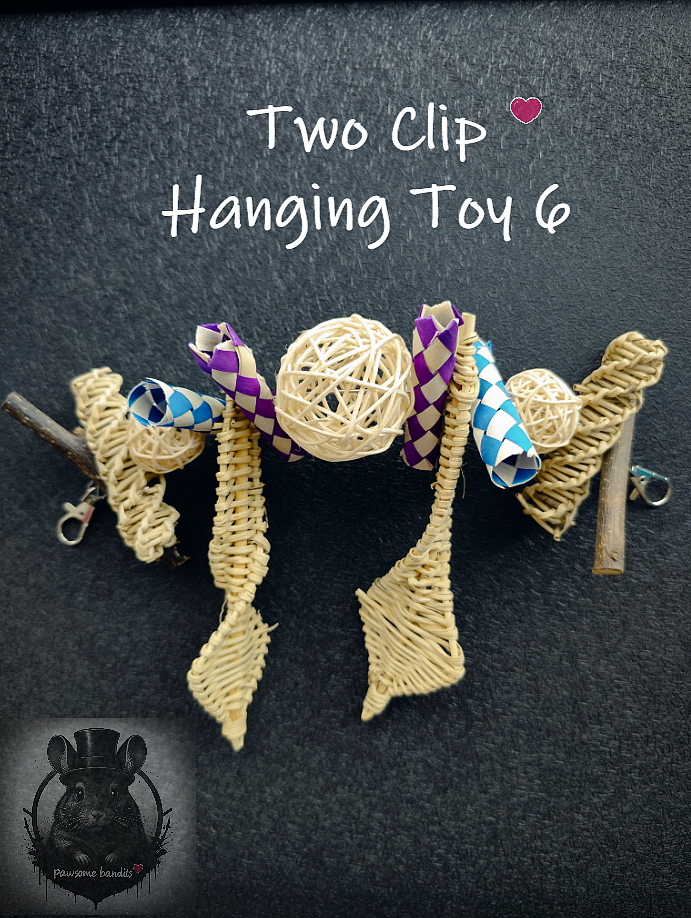 Two Clips Hanging Toy 6