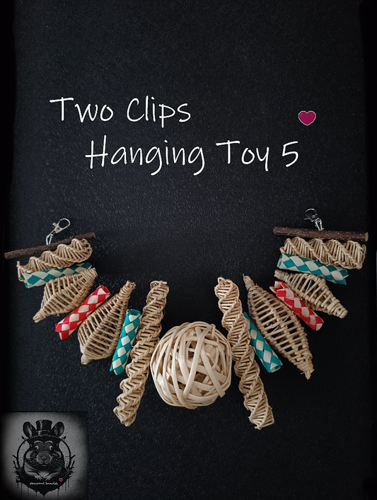 Two Clips Hanging Toy 5