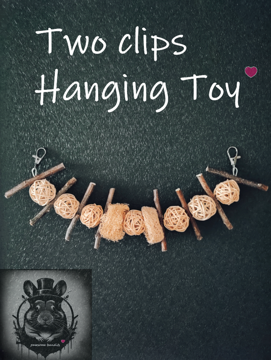 Two clips Hanging Toy