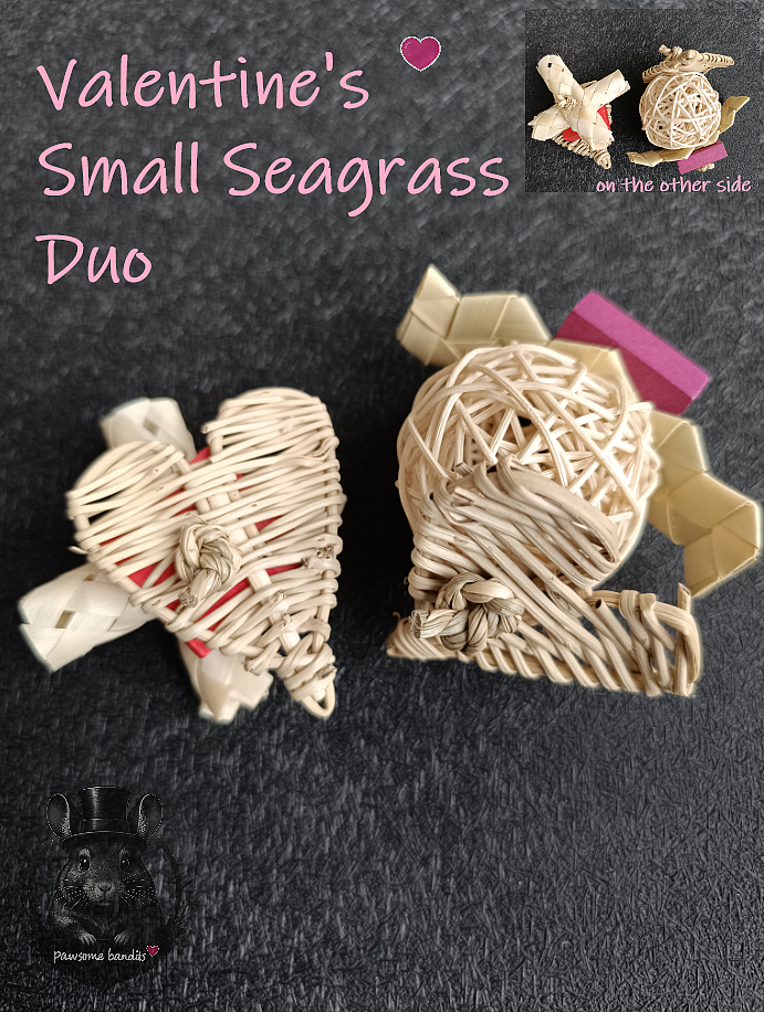 Valentine's Small Seagrass Duo